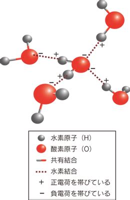 水結晶原理|いまだ謎多き水分子の世界 －その意外な構造と運動。